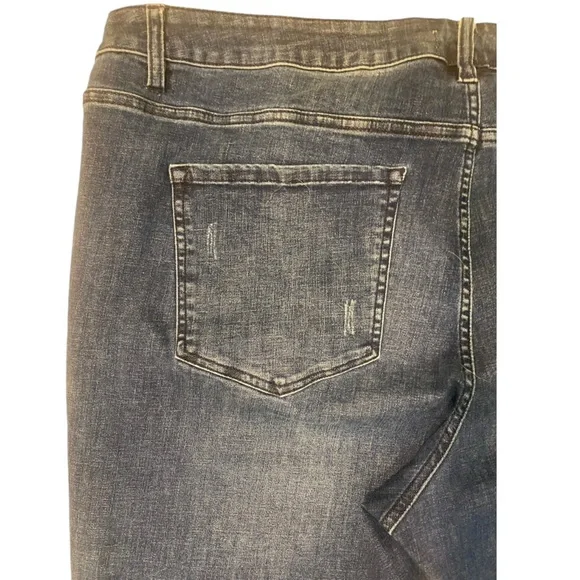 Lane Bryant Stretch MidRise Embellished Jeans - Picture 3 of 5